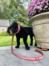 Load image into Gallery viewer, Nantucket Braid Dog Leash
